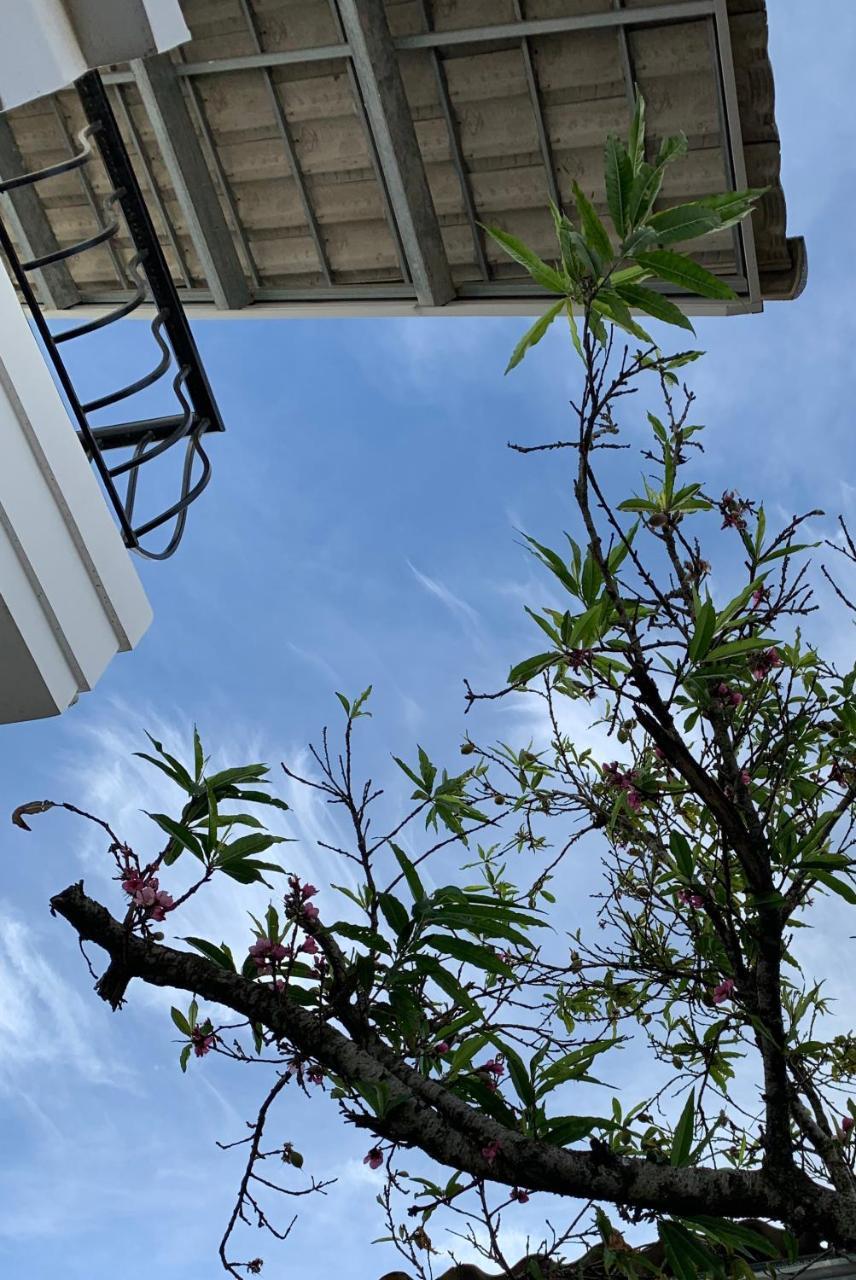 De Daisy Villa Homestay Da Lat Exterior foto